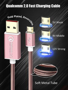 引领科技潮流，专业计算机软硬件技术开发解决方案